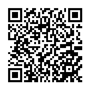 此外龙家还有六十四位九天玄仙后期・大大地超过了我们许家二维码生成