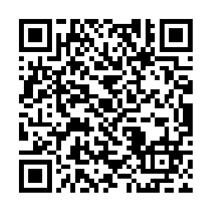 此子不除终会成为本域征服外域的阻碍乃至心腹大患二维码生成