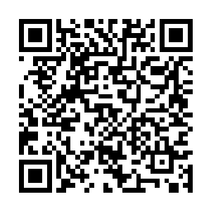 此时一只弱小的蝴蝶却在对方的魔威之下翩翩起舞二维码生成