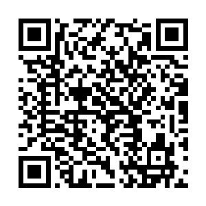 此时不管是真是假战如意都没有再拖延下去的意义二维码生成