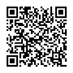 此时两个小朋友早就没有了上午初见面时的拘谨了二维码生成