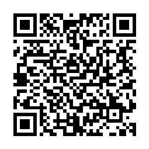 此时二长老和谈羽扬以及他的人已经在远离神谕星的飞船上了二维码生成