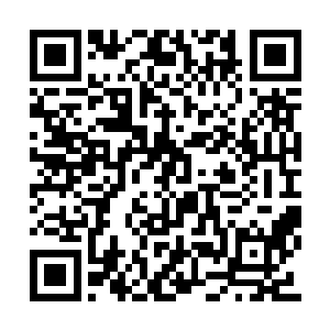 此时他们心里面对门口的这个乡下穷小子的描述二维码生成