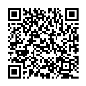 此时他们都很好奇究竟是上元大陆的谁拍下了这个石头二维码生成