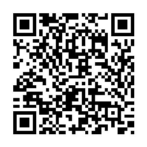 此时公子冶已经确定许紫烟能够治疗爱侣的经脉二维码生成