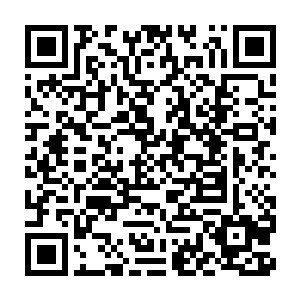 此时几个人望向龙傲天几个人的目光之中都充满了浓浓的感激和敬畏二维码生成
