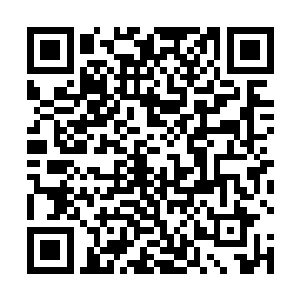 此时南客的剑势已经完全被黄纸伞散发出来的剑意切碎二维码生成