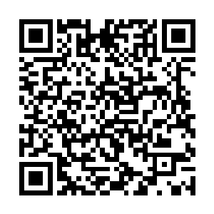 此时南方的妖族已经彻底被南方修士赶回了妖族领地二维码生成
