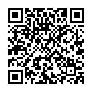 此时我体内的灵气已经因为不断吸收了这浓郁的鬼气完全的恢复二维码生成