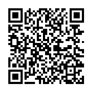 此时正微微仰头打量着府邸门上那两个硕大无比的字二维码生成