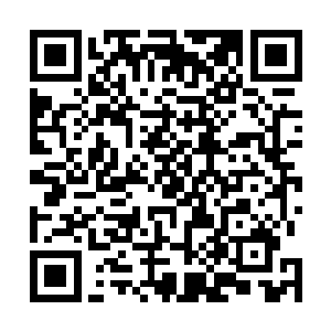 此时此刻他带來的二十三个精英手下已经只剩下了八个人二维码生成