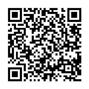 此时没有任何一个人族和妖族修士敢用神识去那个深坑中探查二维码生成