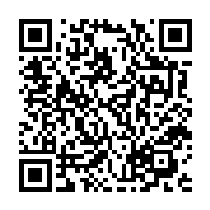 此时的山本瑟郎看上去给人一种十分的恶心和恐惧的感觉二维码生成
