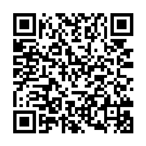 此时的柳遇树跟当年的自己一样走在了人生的岔路口二维码生成