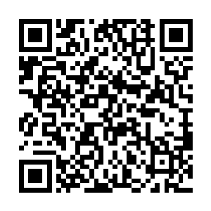 此时的苗毅独自端坐在幽冥都统府议事大殿的正堂上二维码生成