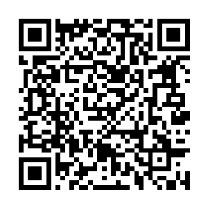 此时的蓝珂正拿着徐磊和他情人的衣服站在窗户前二维码生成