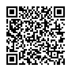 此时皇甫君媃方将自己融入了纯粹的苗毅个人立场二维码生成