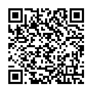 此时糜奉节樊小柴两位拂水房大谍子和老宦官赵思苦二维码生成