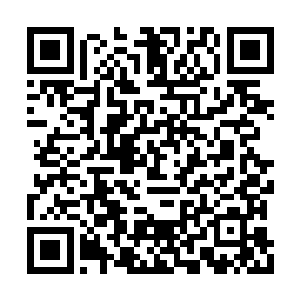 此时见到龙傲天竟然跟食脑兽斗了一个旗鼓相当二维码生成