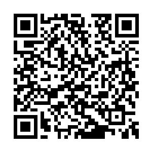 此时许紫烟已经知道了这些许家弟子兴奋的原因二维码生成