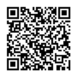 此时除了正在前面苦苦挣扎的几位六鼎一阶高手之外二维码生成