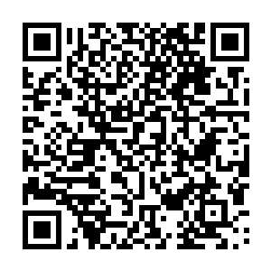 此番出去独孤大师在紫龙王协助下终于顺利绝仙阵布置在了整个凶兽禁地之中二维码生成