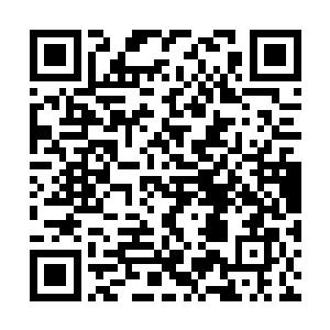 此际我终于明白孙老爷子领我们来这里的真正目地二维码生成