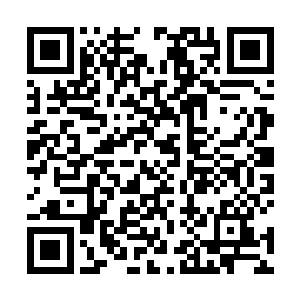 武悼则是从口袋里摸出一个黑色笛子搁在唇边吹响笛子二维码生成