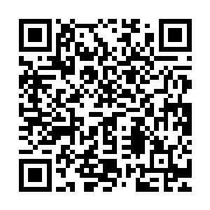 武英奇的基本盘是御林军还有雷成虎这样渴望恢复昔日帝国光辉二维码生成