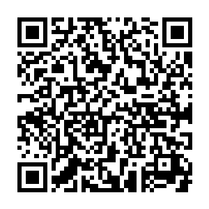 武英澜沉默地看着一副又一副监控光幕上出现了洪水勐兽般的囚犯狂潮二维码生成