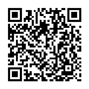 死在龙傲天手中的龙傲天都已经记不清有多少了二维码生成