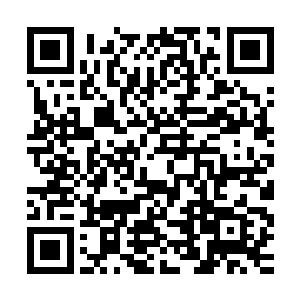 殷颂惊讶的自然不会是马思琪撺掇王禹慈害了一个婢女性命的事二维码生成