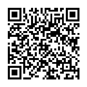 每一条试炼之路在百万年的时间所发生的战斗何其之多二维码生成