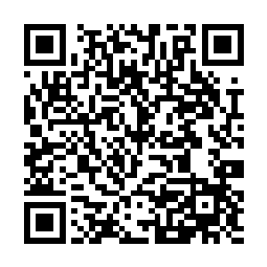 每一道蓝芒都是秦逆流全力挥出的蓝色战气汇聚而成二维码生成