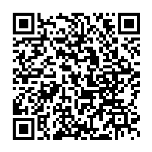 每一道蜘蛛纹都小心翼翼地避开了那一个个代表着天地法则至理的符文二维码生成