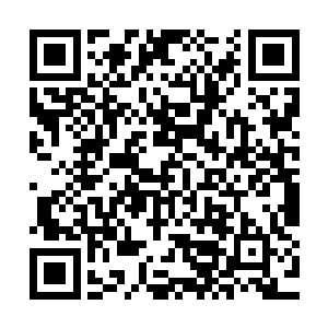 每个公司都提出了建设自己独立的日处理1000吨矿石的选厂计划二维码生成