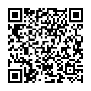 每个追魂灵蝶的蝶卵的开价都在100到150万金币之间二维码生成