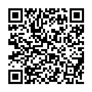 每处理完一份公文便用才气将其抛到屋内的地面二维码生成