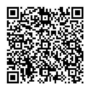 每天放学后能躲在公交车站背后的小巷里偷看一会儿黛娜老师那美丽的背影就满足无比二维码生成
