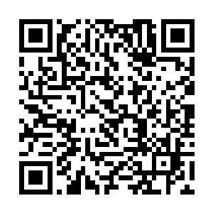 每天都会有人羡慕无比地问他关于儿子罗中奎的事情二维码生成