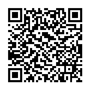 每天都有一些无名的尸体在城市的阴暗角落被人找到二维码生成