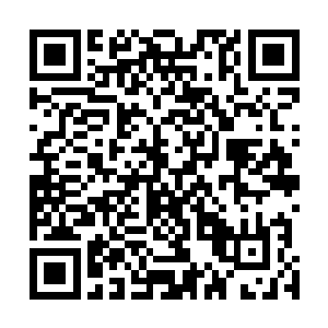 每年影迷都可以保证在电影院里看到两部由她主演的大片二维码生成