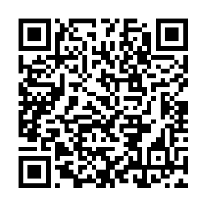 每年能安静的拿巨额分红从此过上大富豪的日子就好二维码生成