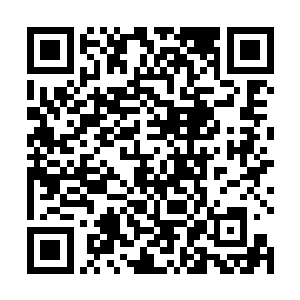 每棵树上都结着一些亮晶晶的像水晶一般的透明的果子二维码生成