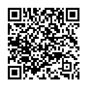 每项工程的发包都必须经过领导班子集体讨论决定二维码生成