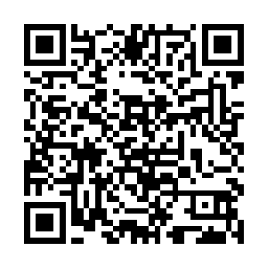 比元本溪和谢飞鱼更让他视为可托衣钵的一个读书人二维码生成