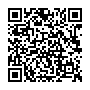 比吴岩等人先一天进入时神塔界的其他闯塔小队二维码生成