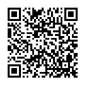 比如受到损伤可以吸取周围的流动能量而让自己慢慢修复二维码生成