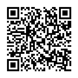 比如扩张后的东岛一街和东岛末街这么一大块肥肉二维码生成