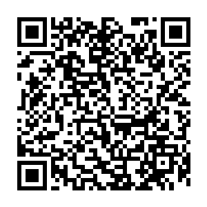 比如说我前段时间向您汇报过的湖州物流仓储园区的项目设想问题二维码生成